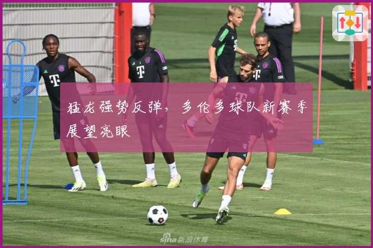 猛龙强势反弹，多伦多球队新赛季展望亮眼