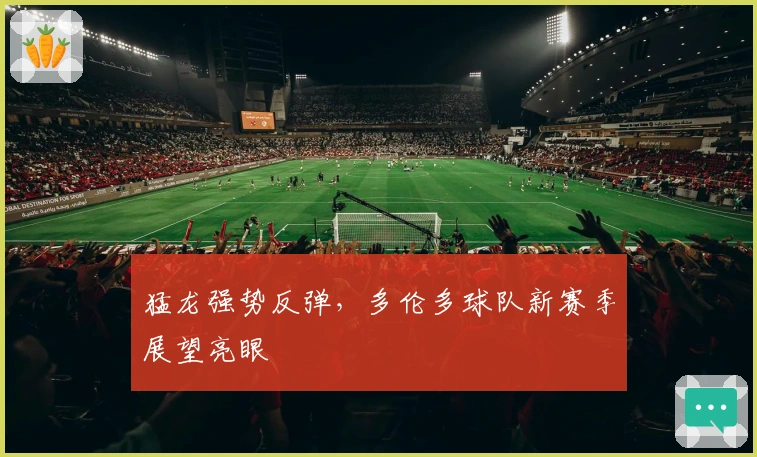 猛龙强势反弹，多伦多球队新赛季展望亮眼